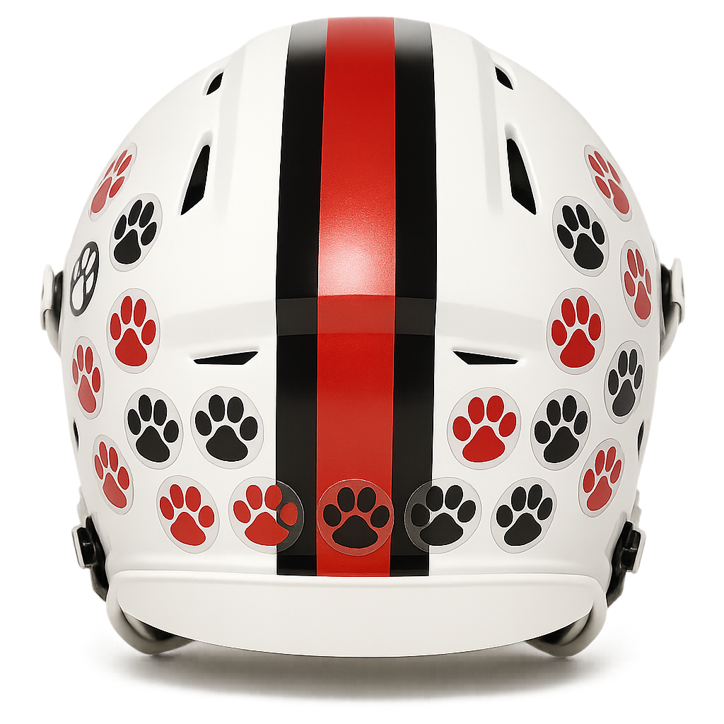 Custom Helmet Award Decals